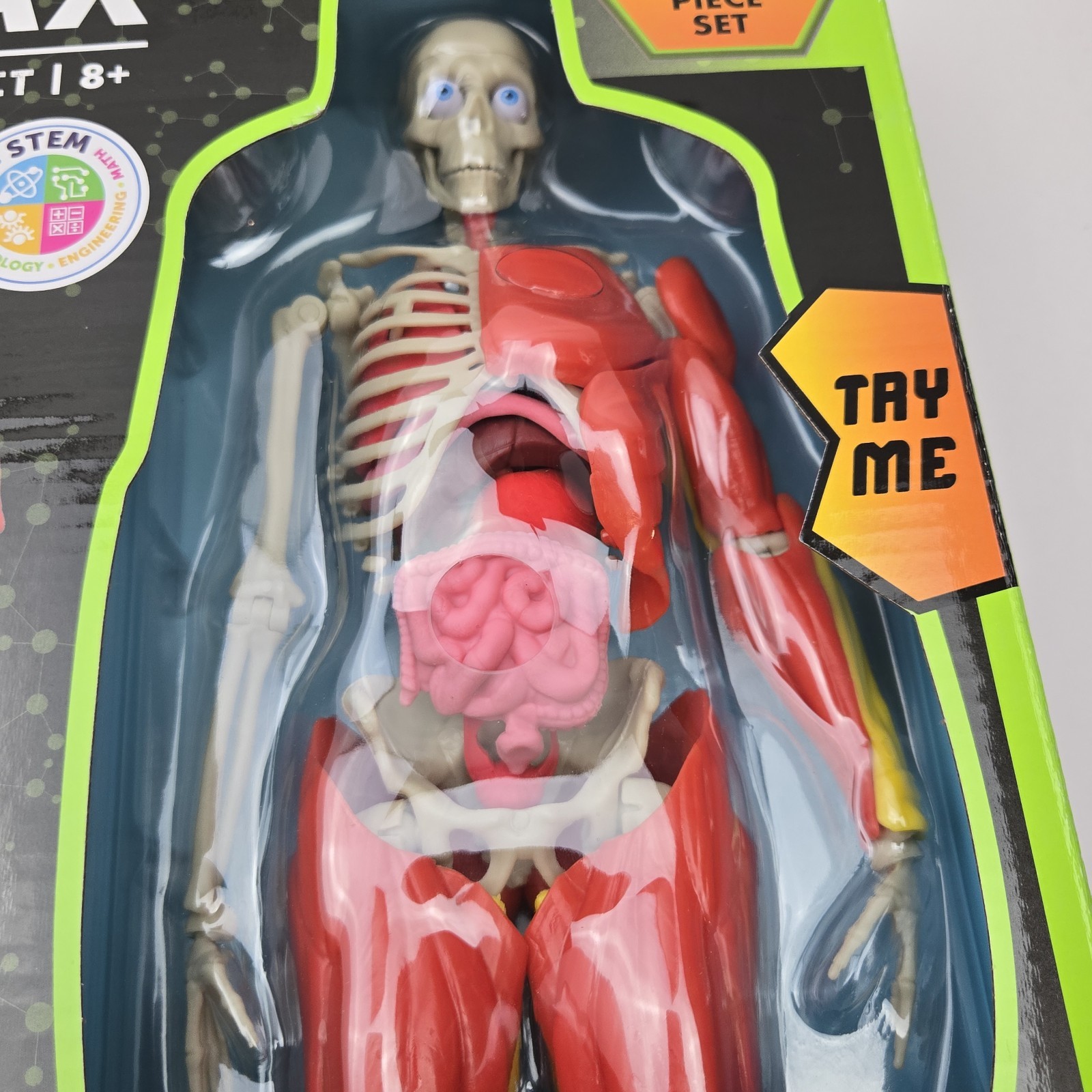 3D Human Body Puzzle Model STEM Toy by Be Amazing! Toys is an educational design