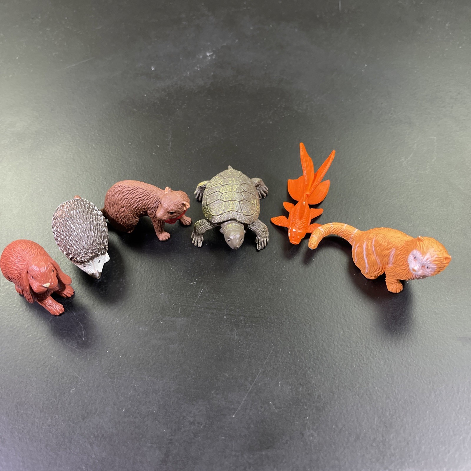 Mixed Lot of 6 Safari Ltd Animals Cat Fish Turtle Rabit ETC Educational Figures