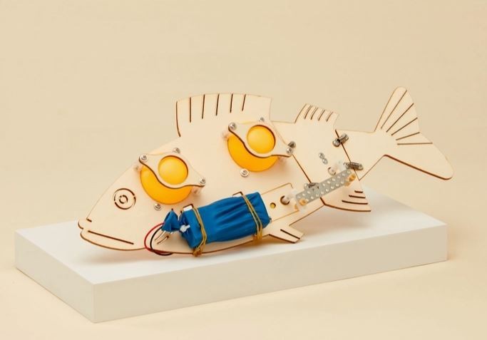 Alicorn Creations Fish Robot Robotics STEM Kit Kids Craft Kits