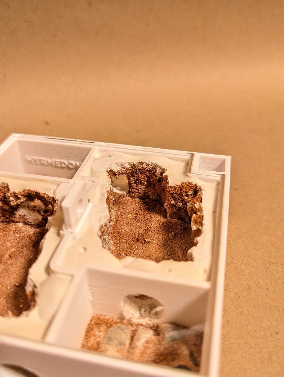Modular Ant Farm Formicarium 9×9 cm – Light Beige Sand & Standard Plaster
