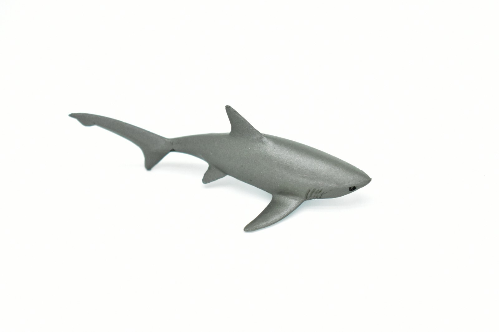 Thresher Shark, Very Nice Plastic Replica 3″ – F1012 B118