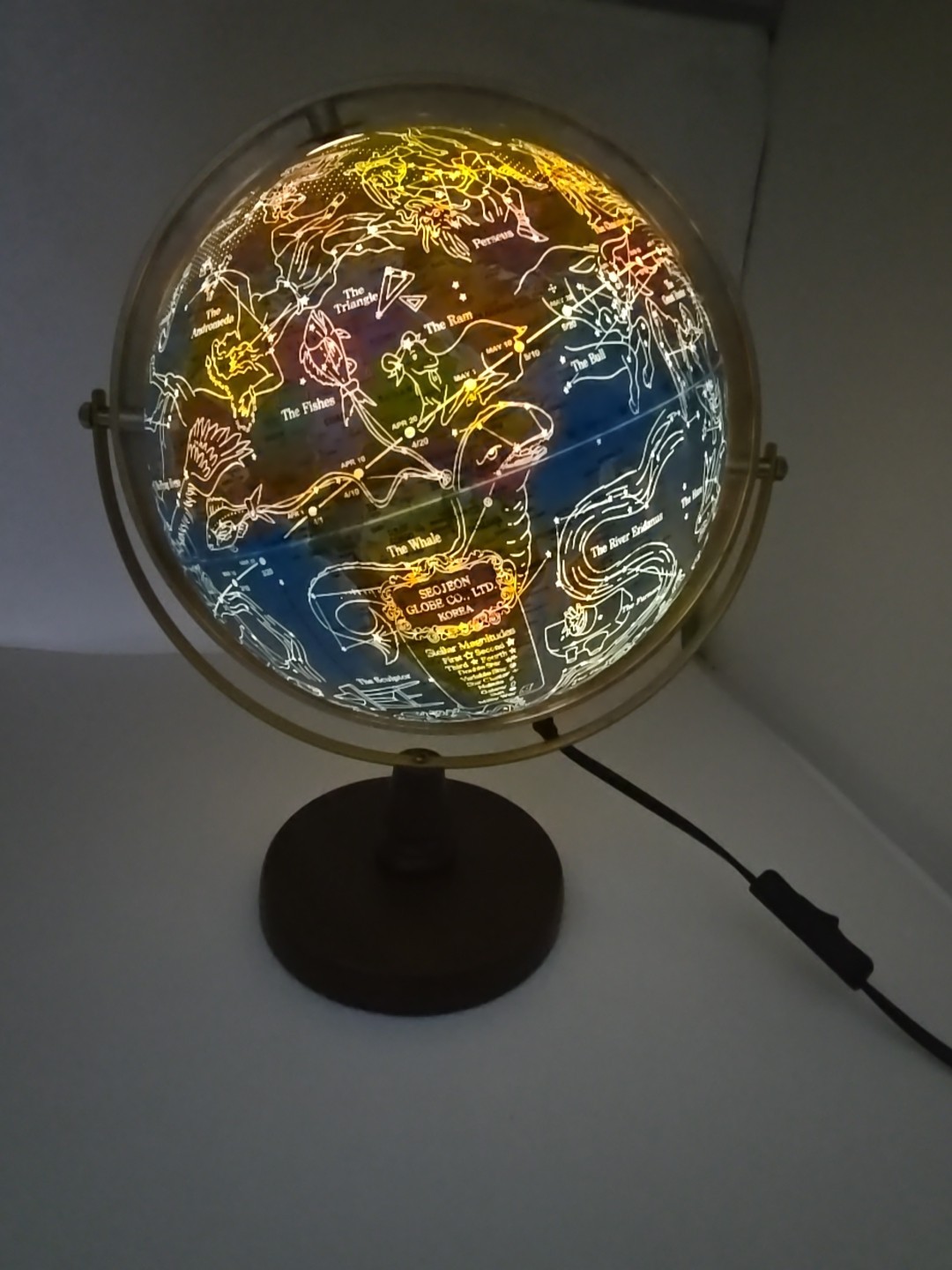 SJSMARTGLOBE Globe w/ Interactive APP & LED Illuminated Constellations at Night