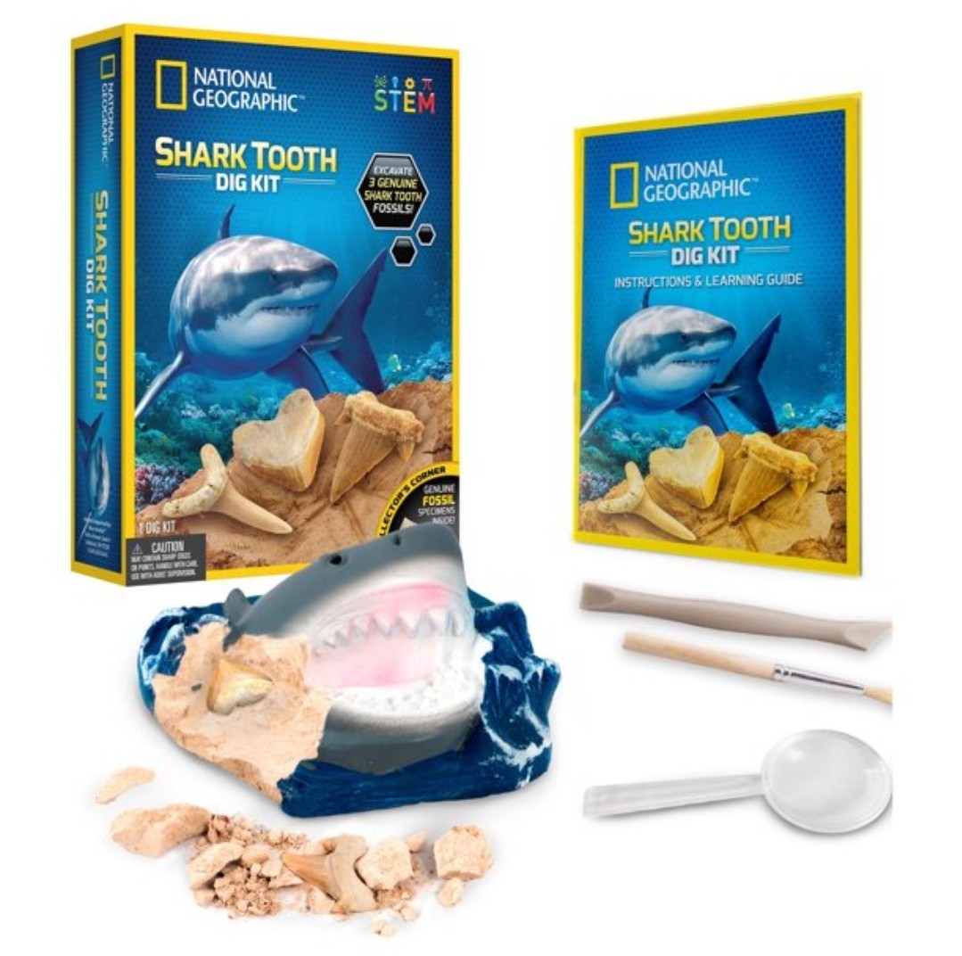 National Geographic Shark Tooth Dig Kit Science Set for Children 8 Years and up