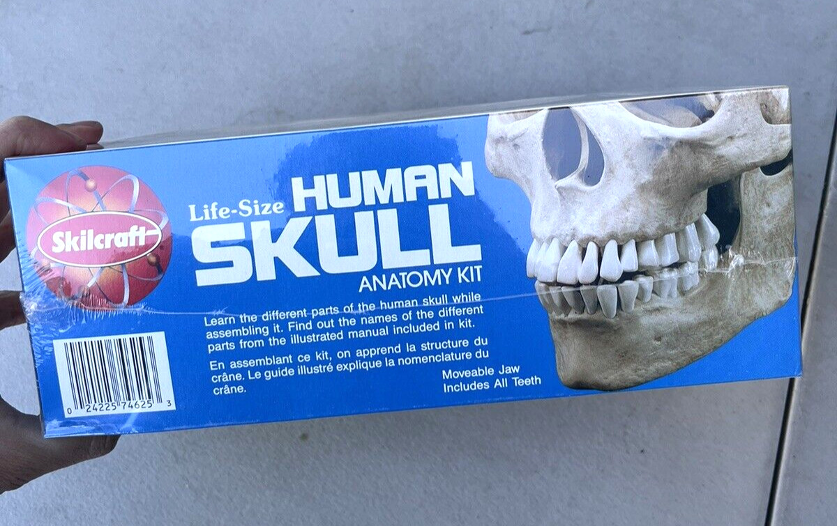 NEW 1996 Vintage Skilcraft Life-Size Human Skull Anatomy Model Kit No. 74625