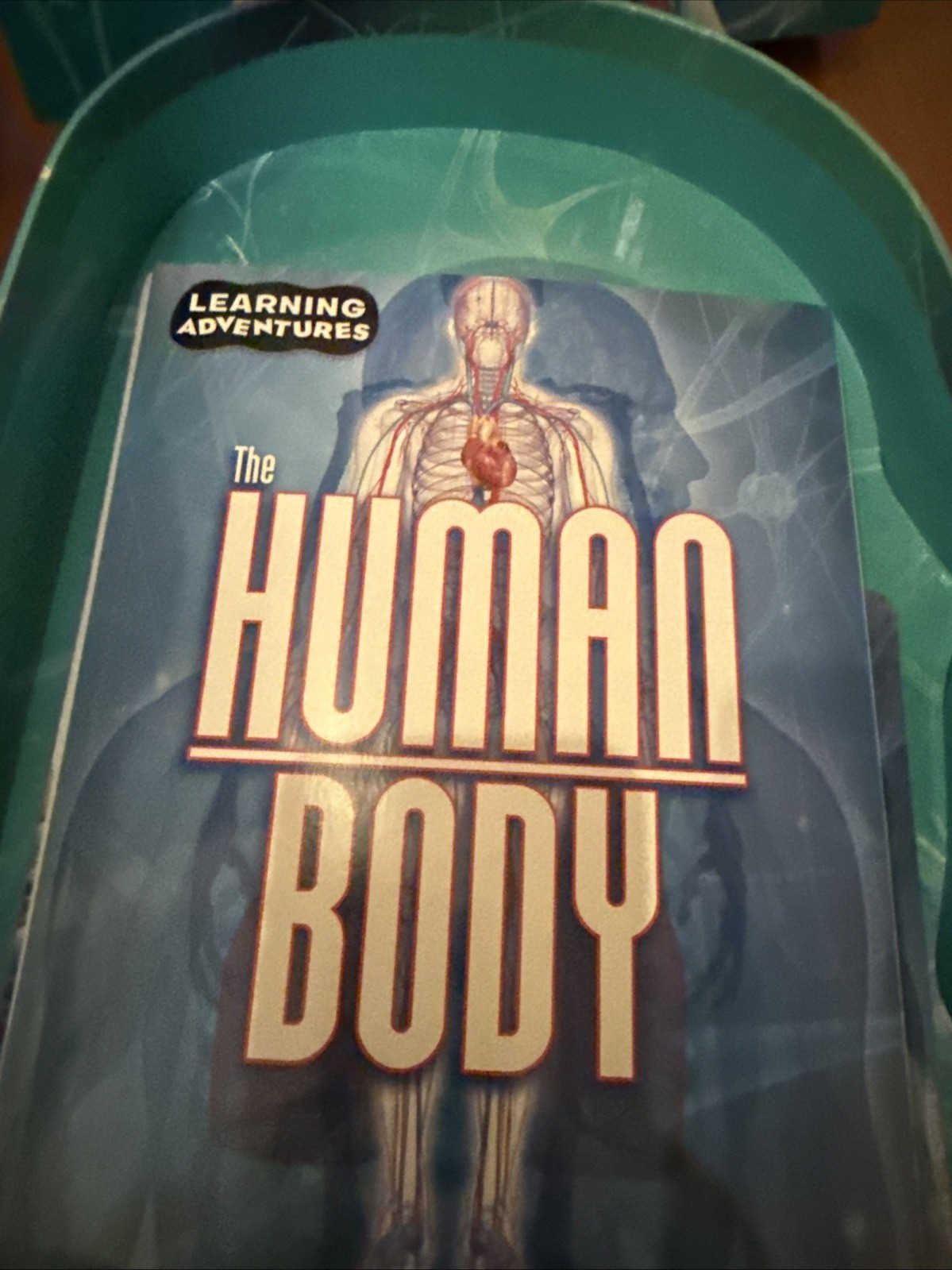 2021 Learning Adventures The Human Body 12” Skeleton, book, stickers, Poster