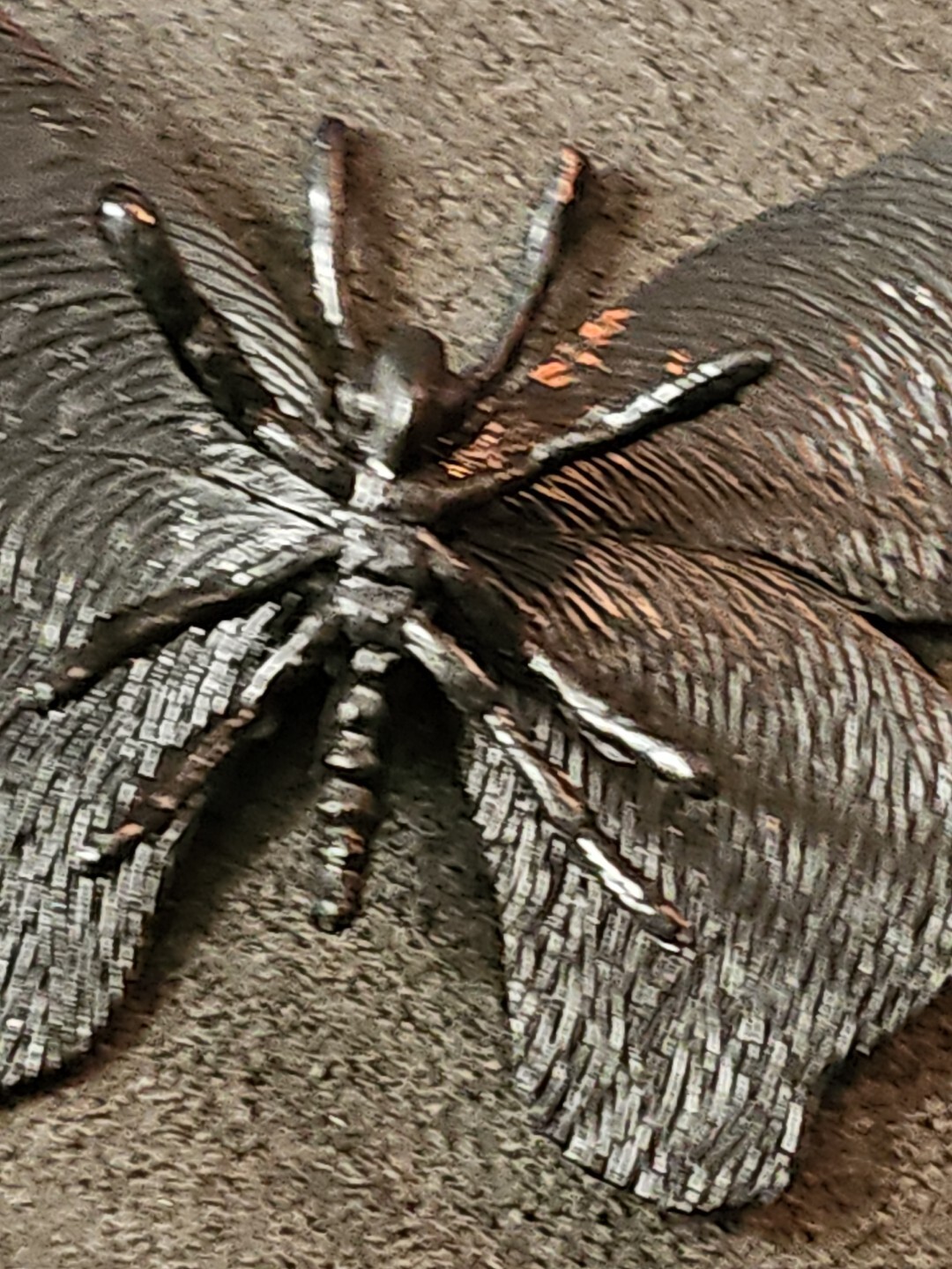 Unbranded Plastic Toy Butterfly- 2.5 Inches