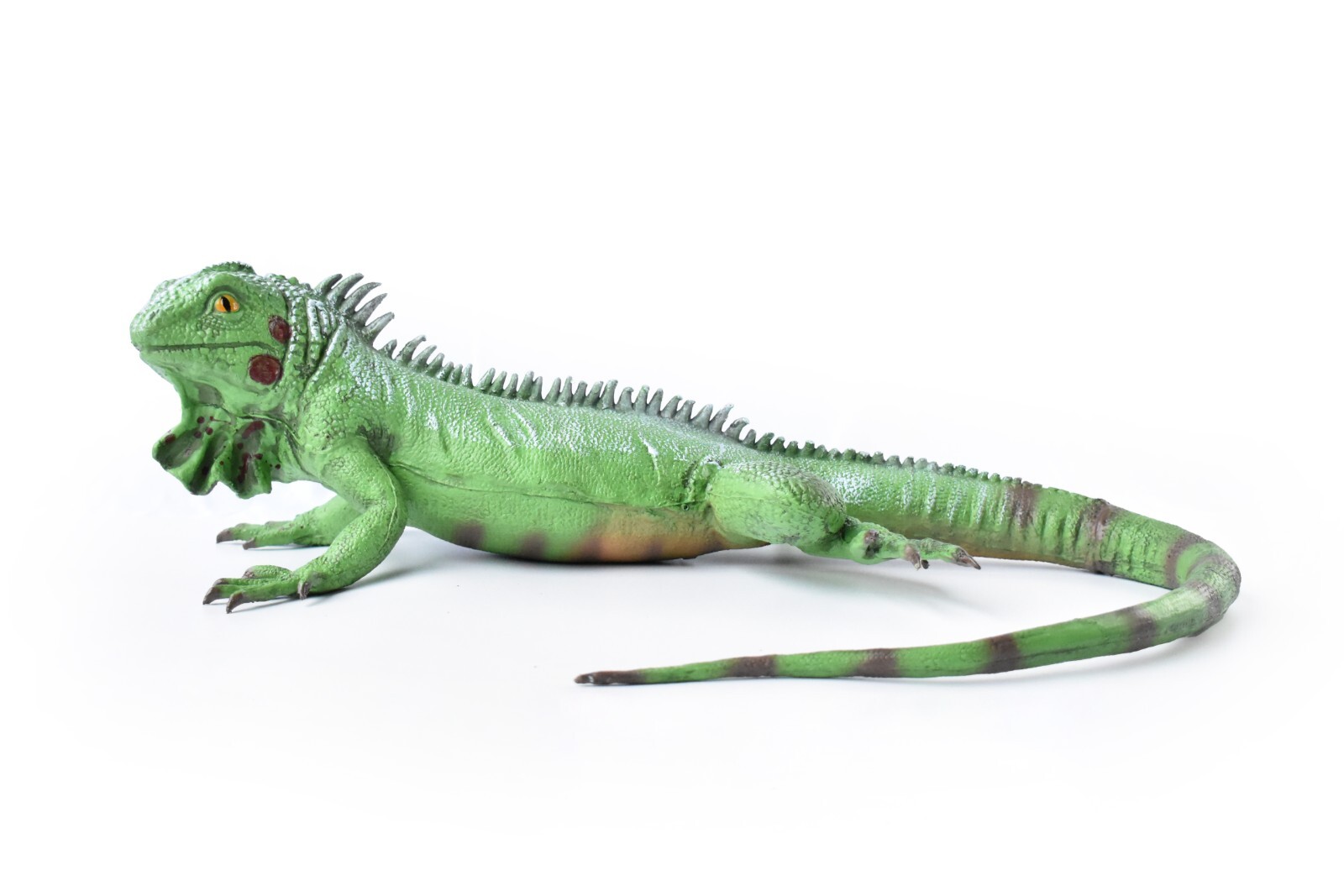 Iguana, Lizard, Museum Quality, Foam Rubber Reptile, Toy, Educational, Realistic
