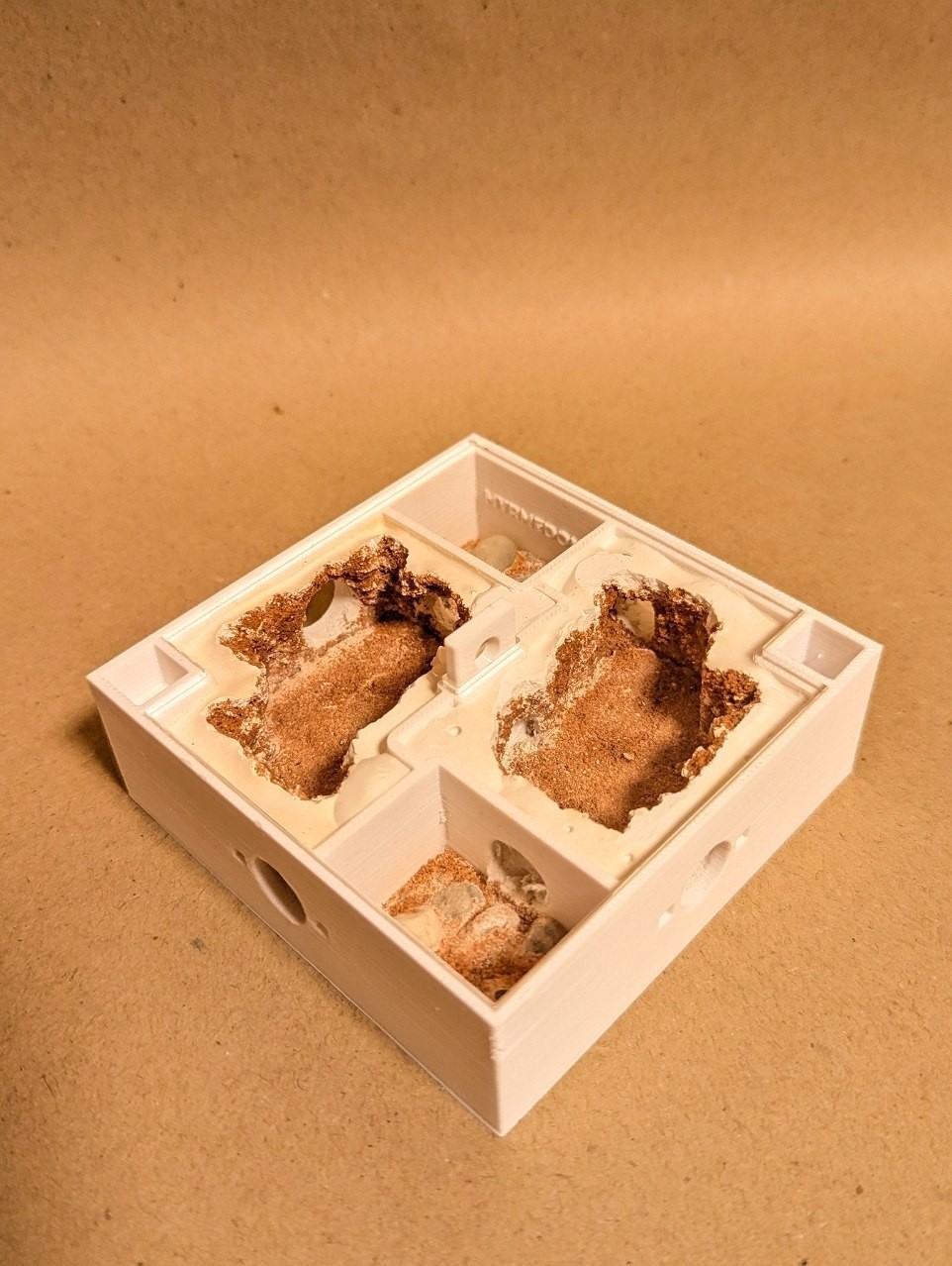 Modular Ant Farm Formicarium 9×9 cm – Light Beige Sand & Standard Plaster