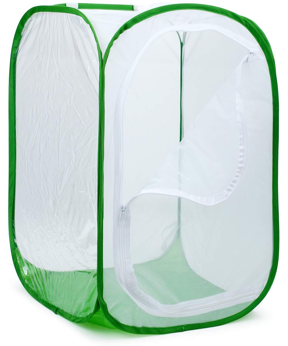 RESTCLOUD 36″ Large Monarch Butterfly 24 x 24 x 36 inches, White with Green