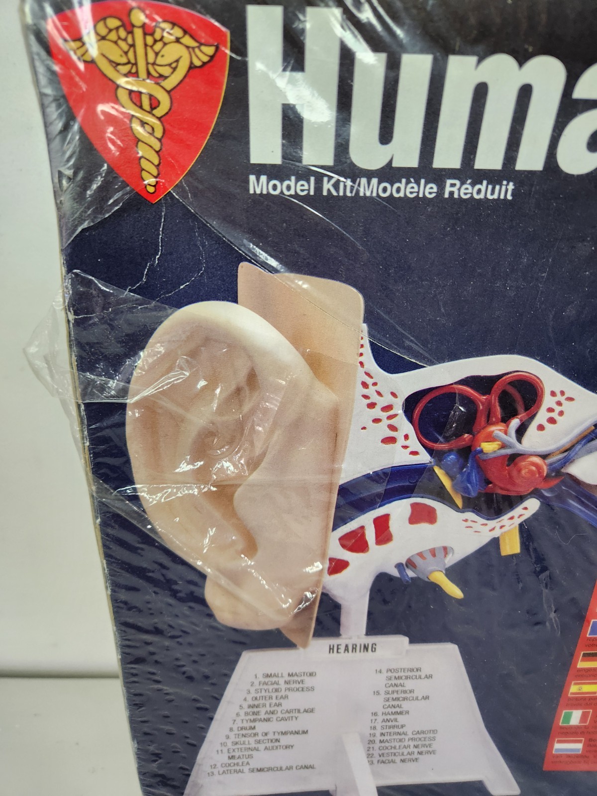 Lindberg Science Kits – Human Ear Unassembled Model Kit – NEW Sealed 71308
