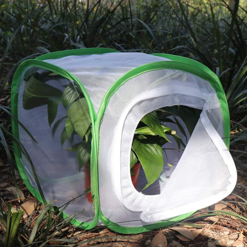 Insect and Butterfly Habitat Cage Terrarium Pop-Up 12 X 12 X 12 Inches with Zipp