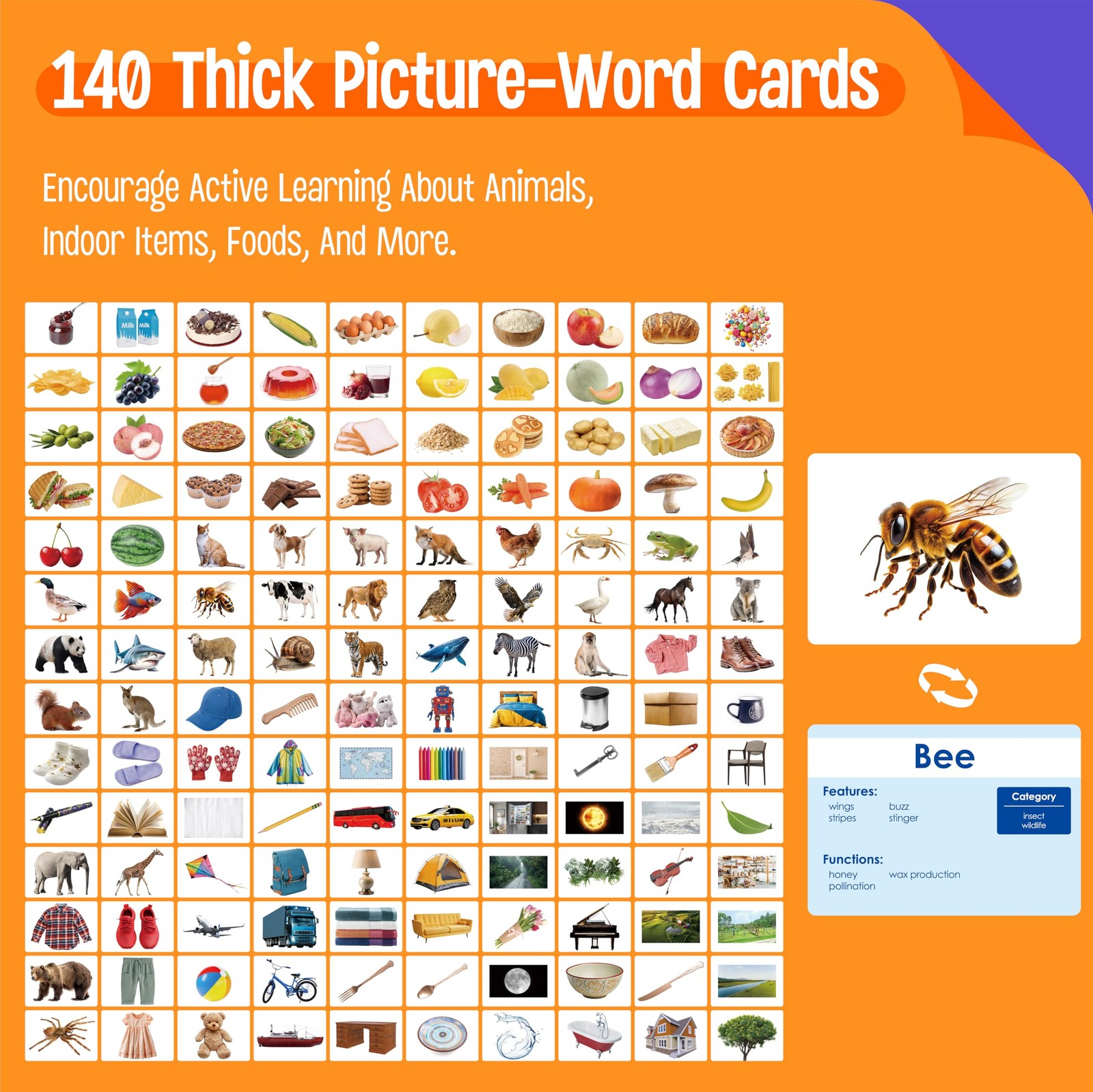 140 Noun Picture-Word Cards, Picture Flashcards Language Builder Visual Aid S…