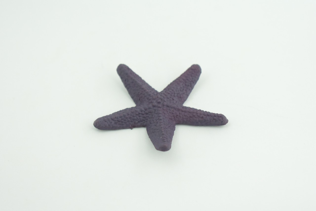 Toy Starfish, Purple, Sea Star, Realistic, Model, Gift, 2 1/2 Inches CWG49 B197