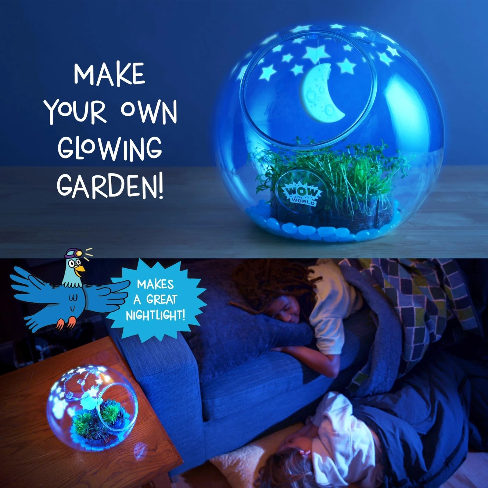 Glowing Terrarium STEM Kit with Seeds LED Lights and Educational Guide