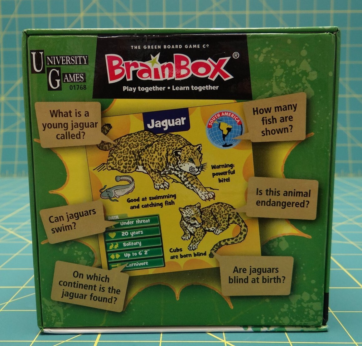 University Games BrainBox Memory Game Animals Edition Ages 8 and Up