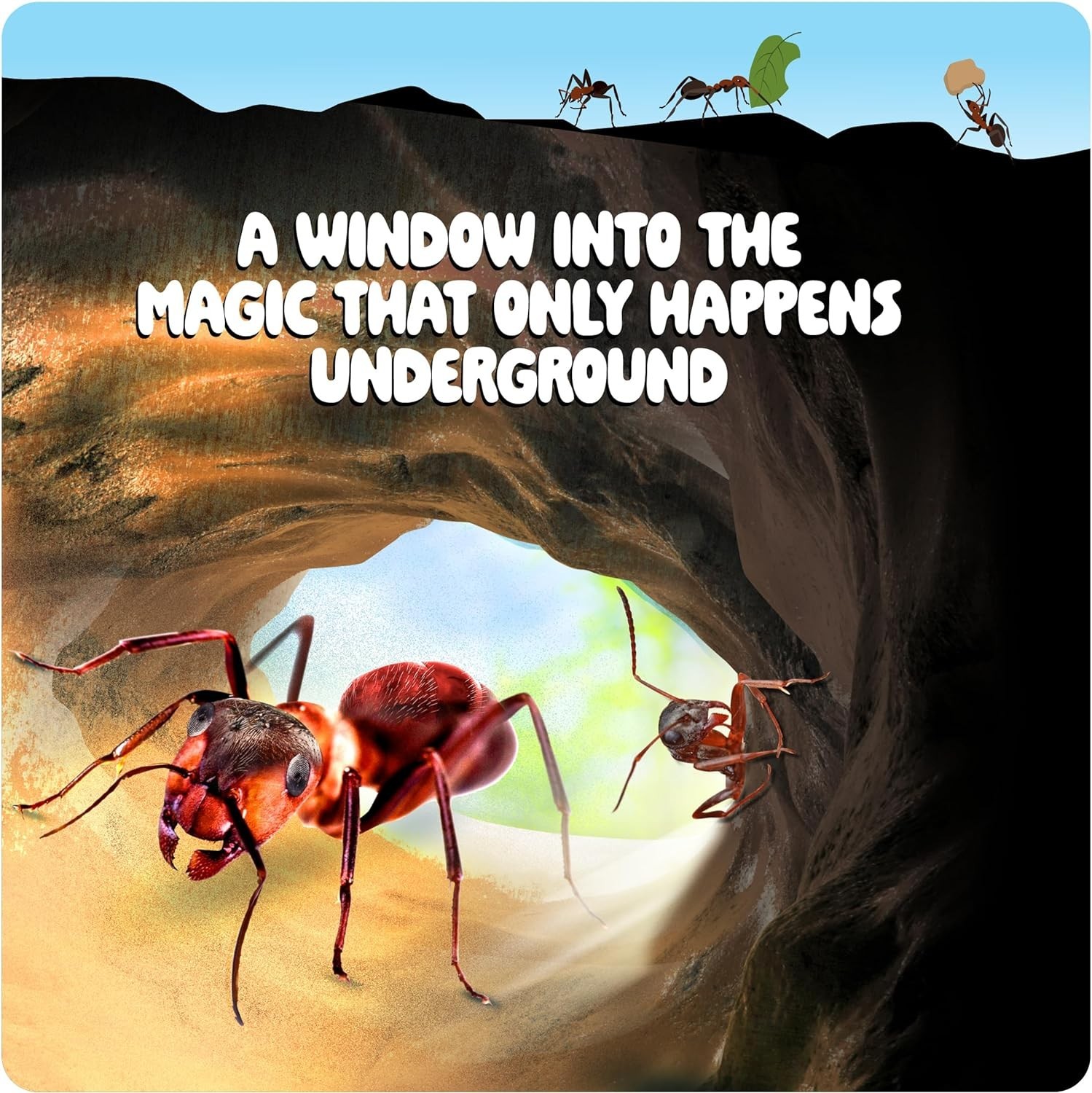 Ant Farm Kit for Kids – Farms Colony – Includes Ants Voucher – Sand Habitat K…