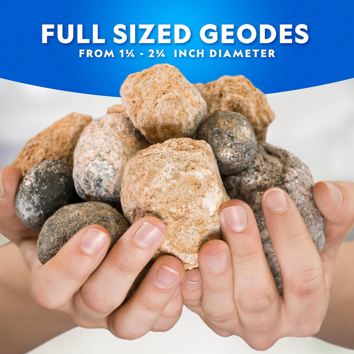 Break Open 4 Geodes Science Kit – Includes Goggles and Display Stand – STEM S…