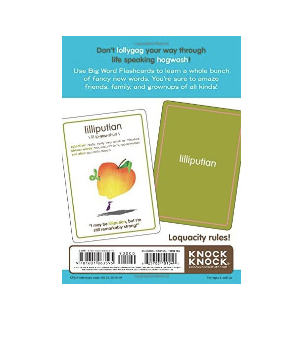 Big Word Flashcards Language Introduction Practice Cards Sealed NIB