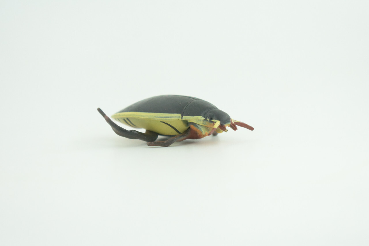 Yellow Edged Diving Beetle Toy Realistic Hand Painted Rubber 2.25″ CH857 BB198
