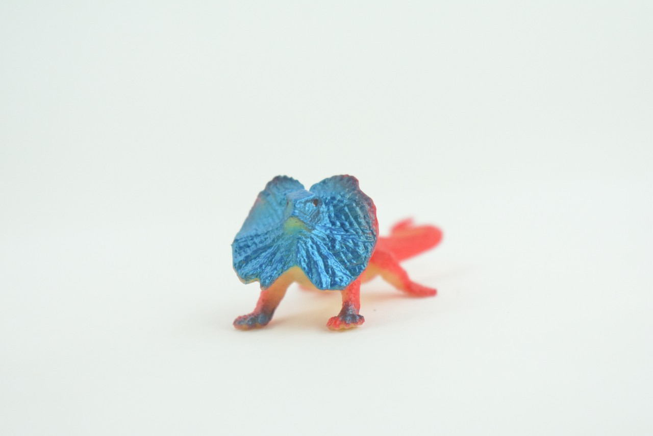 Toy Frilled Lizard, Red and Blue, Realistic Hand Painted Rubber 2.5″ WR40 B197