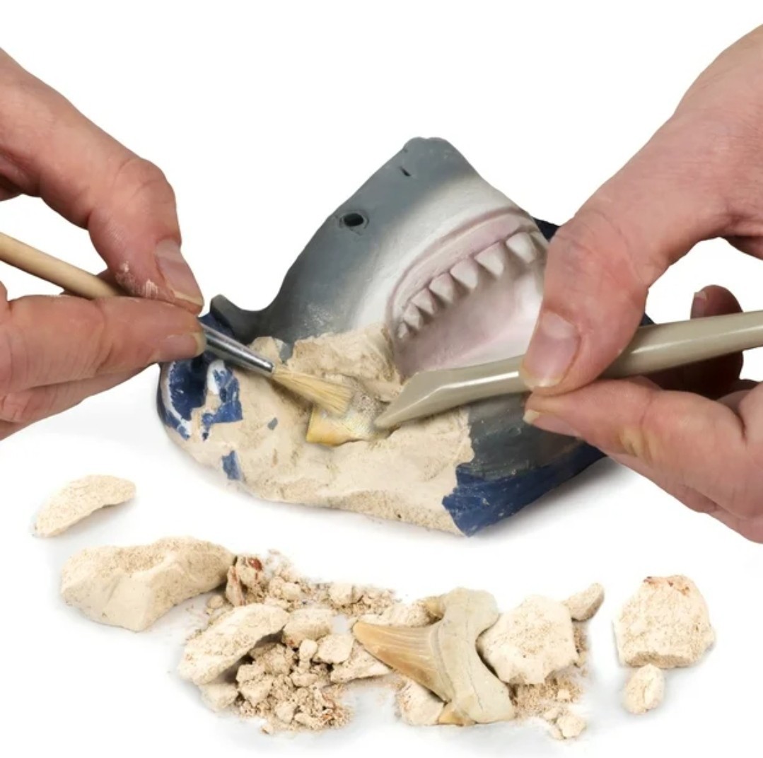 National Geographic Shark Tooth Dig Kit Science Set for Children 8 Years and up