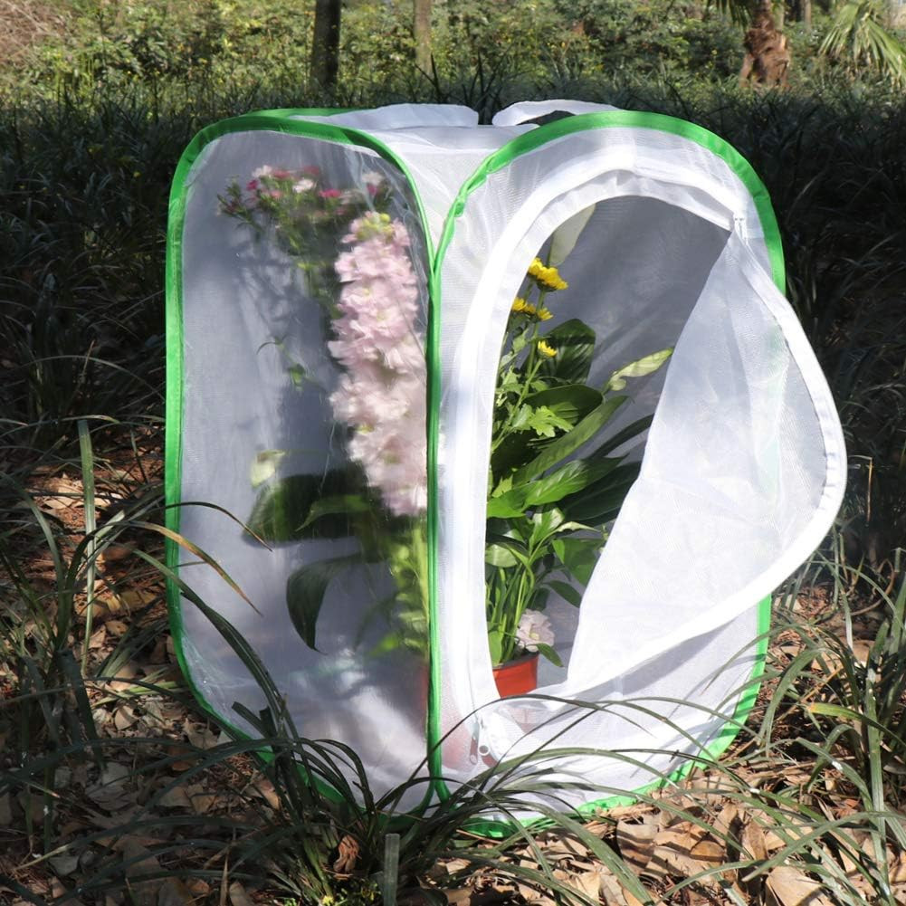 RESTCLOUD Insect and Butterfly Habitat Cage Terrarium Pop-Up 24 Inches Tall with