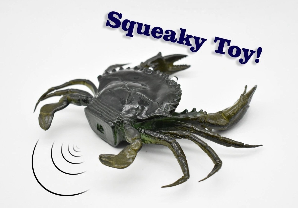 Mud Crab, With Squeak, Very Nice Rubber Replica 7″ F1765 B107