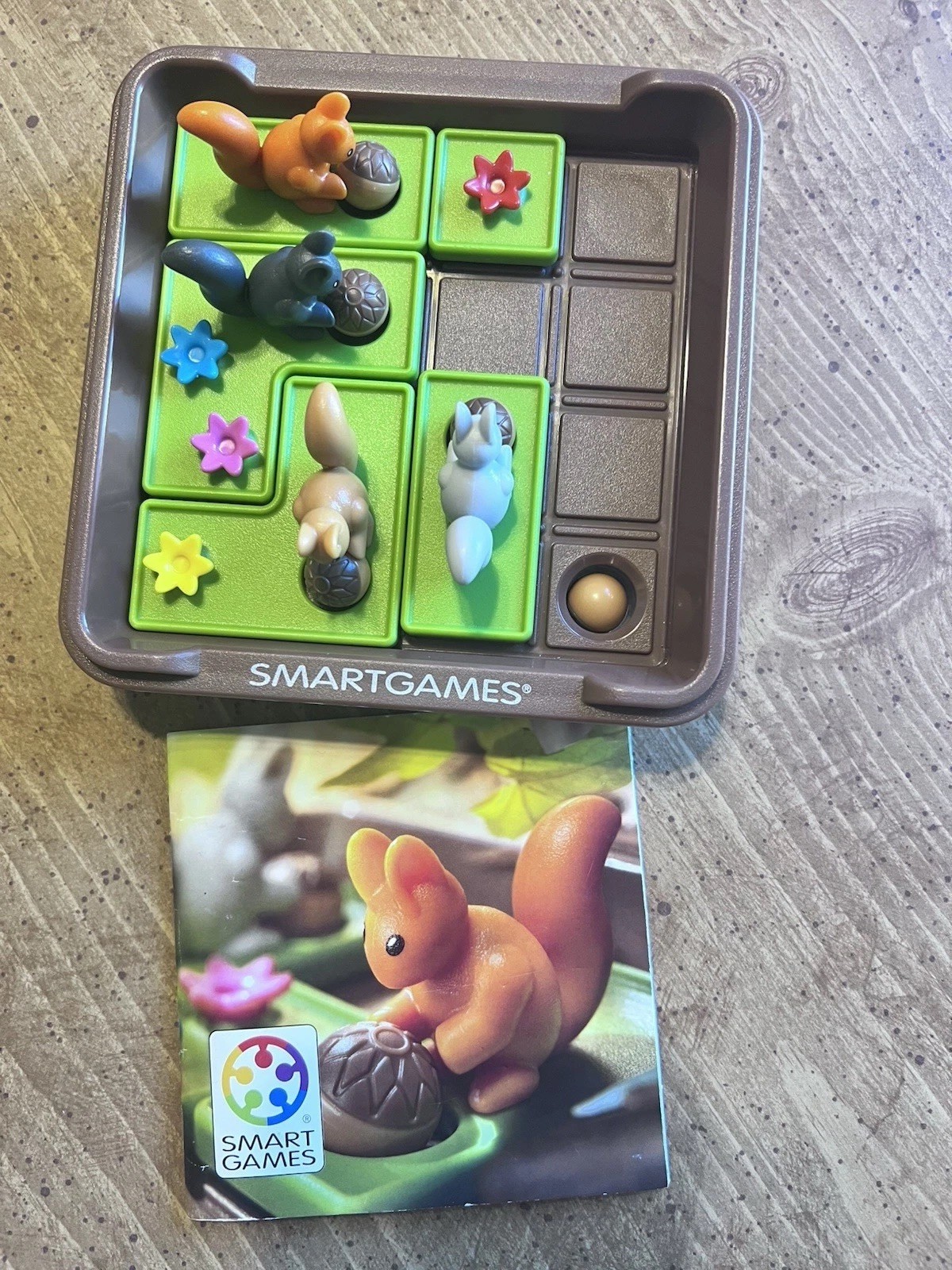 Smart Games Squirrels Go Nuts Critical Thinking Puzzle Game For Kids