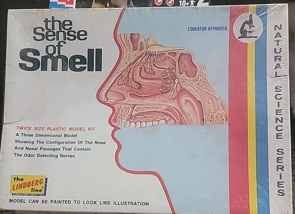 1973 LINDBERG The Sense of Smell UNASSEMBLED Plastic Model Kit #1313