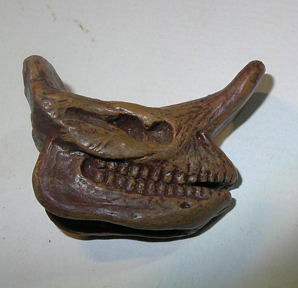 Embolotherium, Fossil Skull, Very Nice Plastic Reproduction 1 3/4″ Safari Lmt.