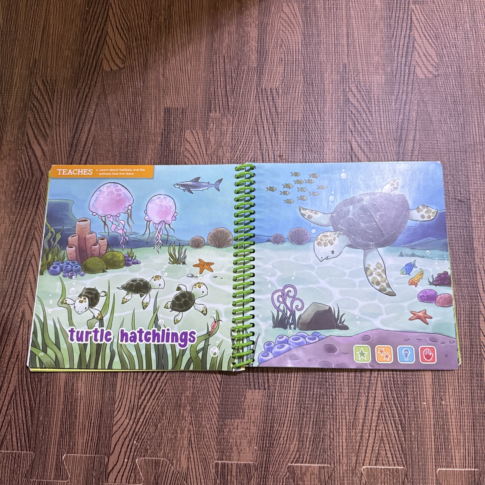 LeapFrog Leap Start Preschool book — THE WORLD OF BABY ANIMALS