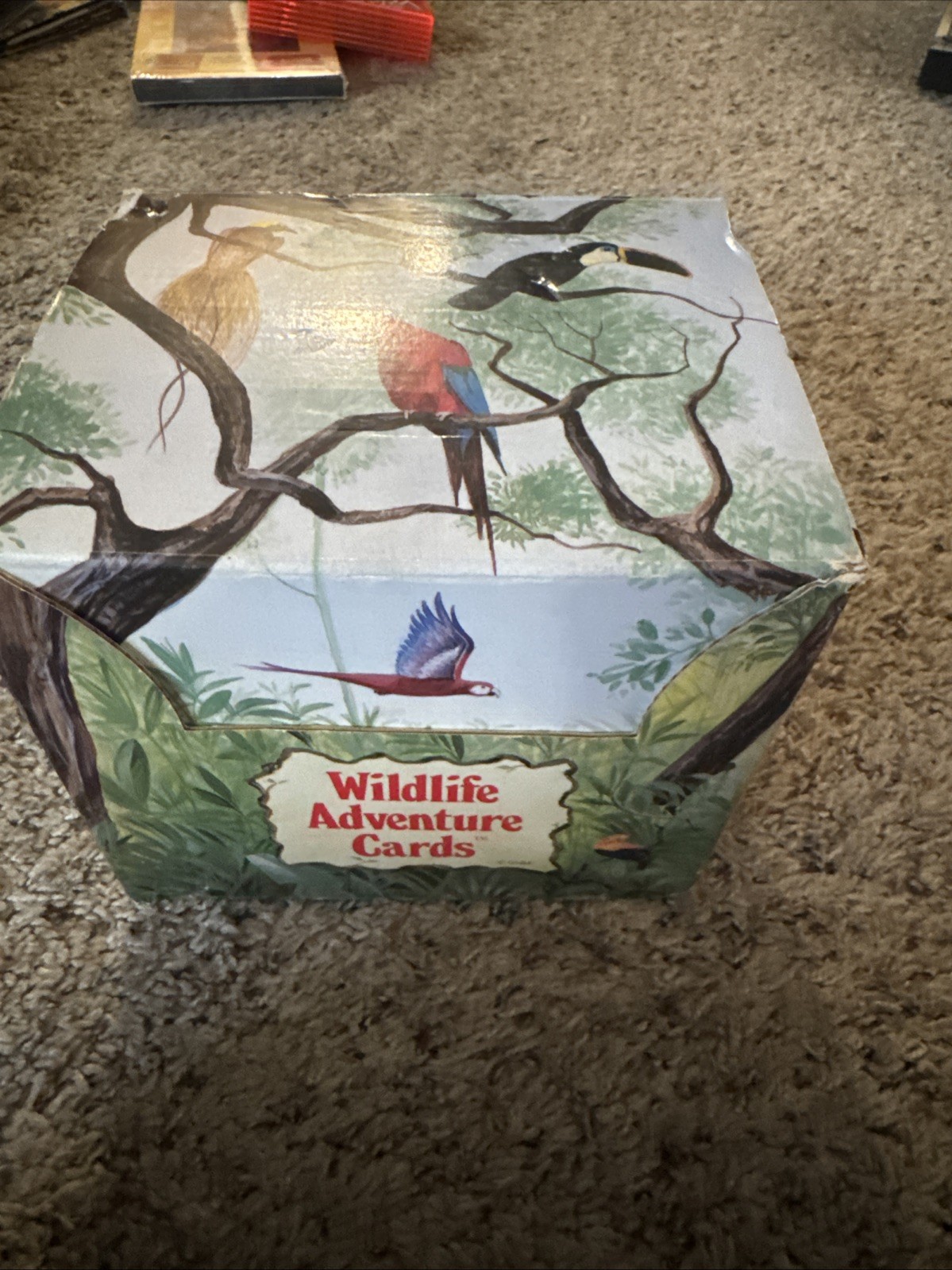 Wildlife Adventure Cards Box Set – 442 Cards – Animals Games Projects
