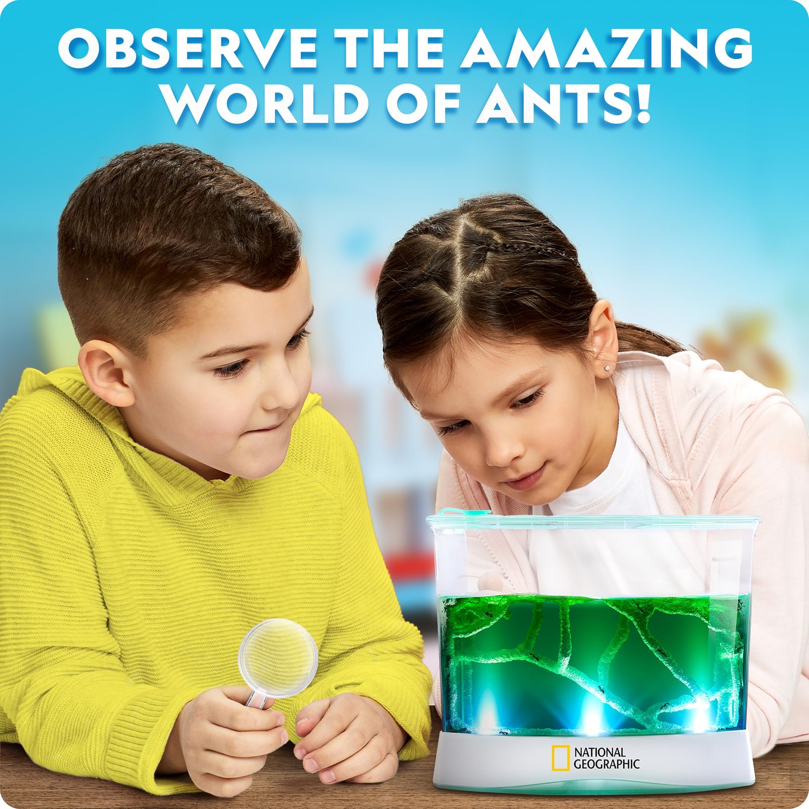 National Geographic Ant Habitat Kit – Light-Up One Size, Multicolor
