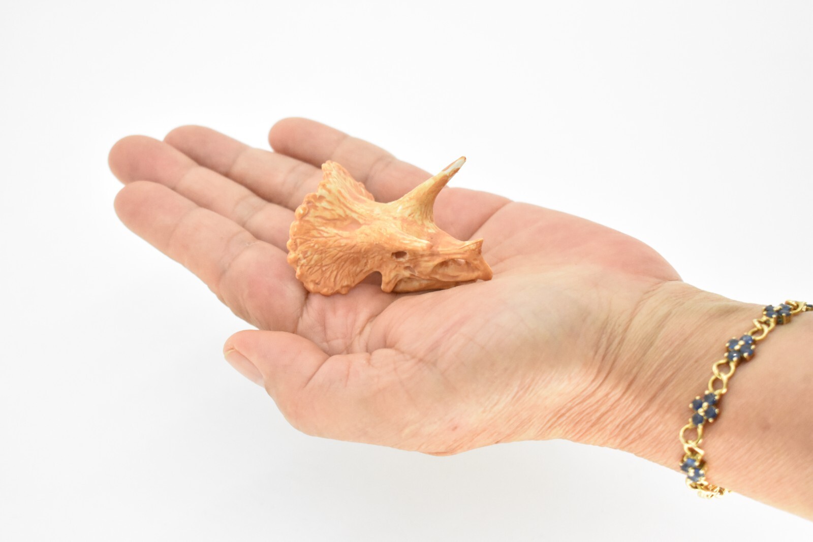 Triceratops, Dinosaur Skull Fossil, Educational, Realistic Rubber Toy Model 1.5″