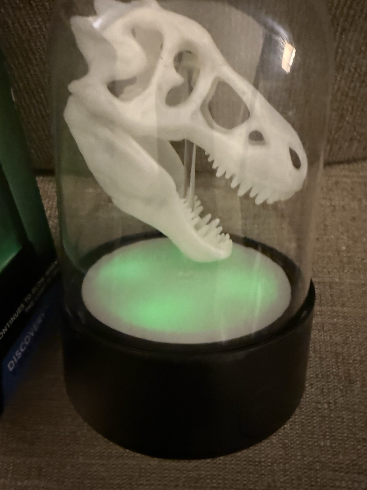Discovery Channel Glow in the dark T-Rex skull Toys Night Light Dinosaur Dino