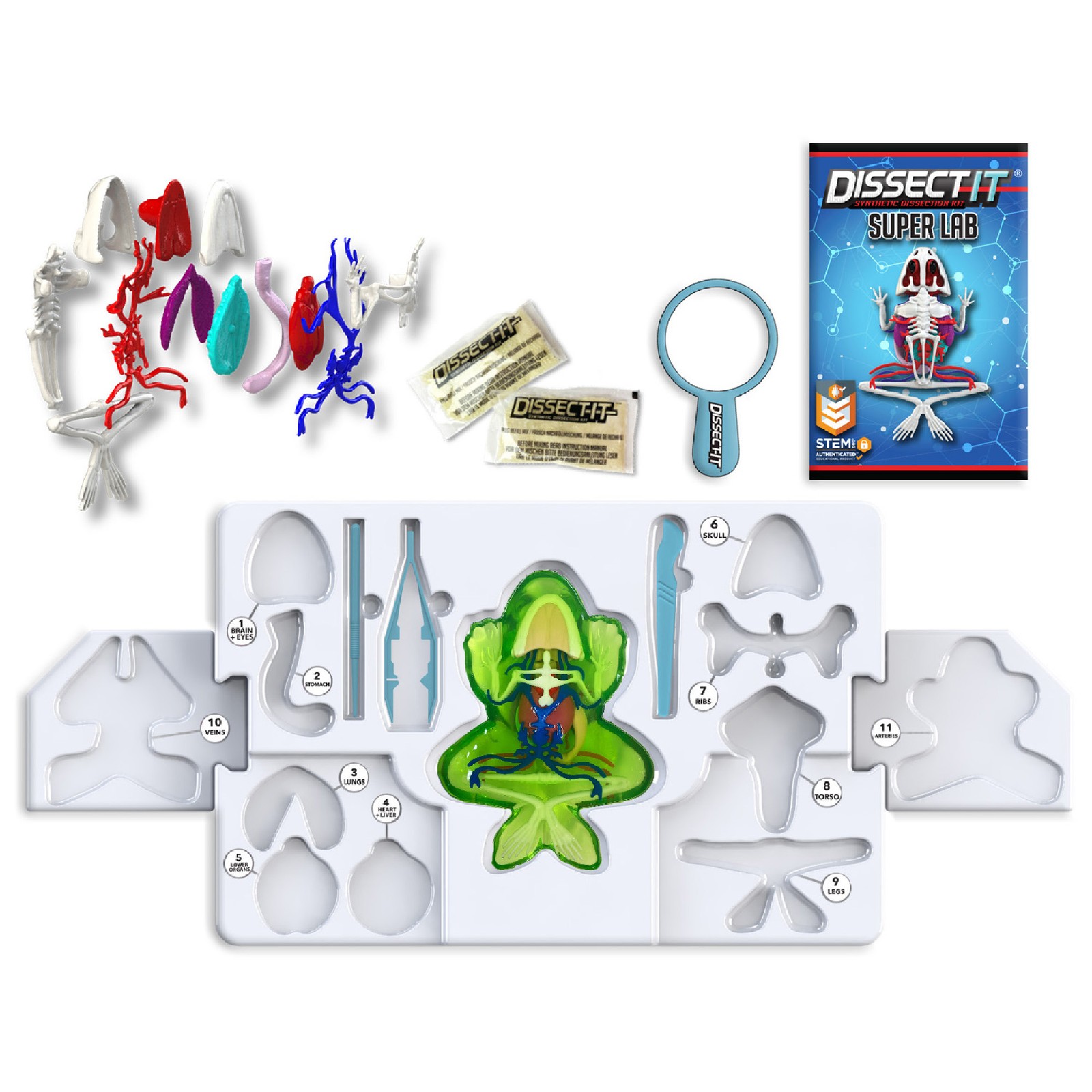 Top Secret Toys: Dissect-It, Deluxe Super Frog Lab, Science Kit, Kids