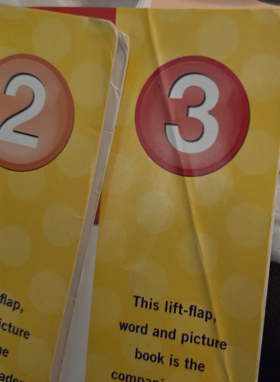 Your Baby Can Read Early Language Development Series DVDs And Word Cards