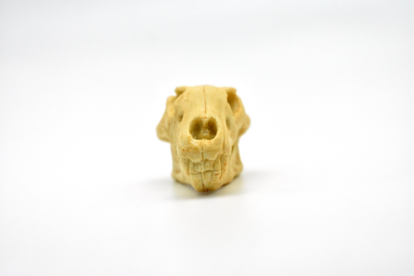 Lion Skull, Very Nice Plastic Reproduction 1 7/8 inches long F4124 B193