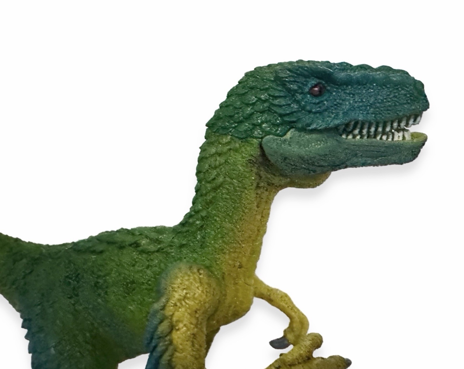 Schleich Velociraptor Dinosaur Figure – AM Lines / New With Tags