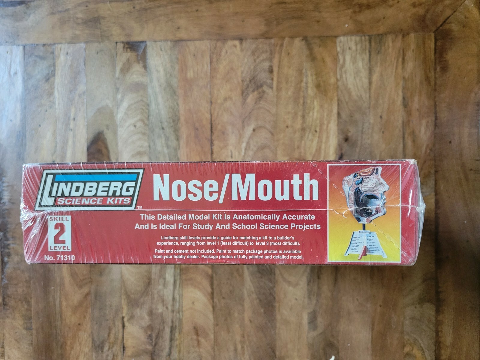 Lindberg Science Kits: Nose/Mouth Skill Level 2 New Unassembled Healthcare Model