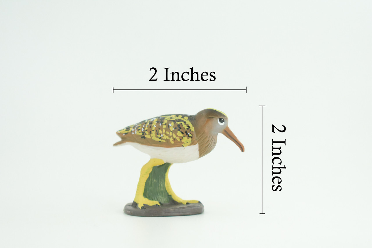 Greater Painted Snipe Toy, Hand Painted Realistic Bird, 2 3/4 Inches CH870 BB199