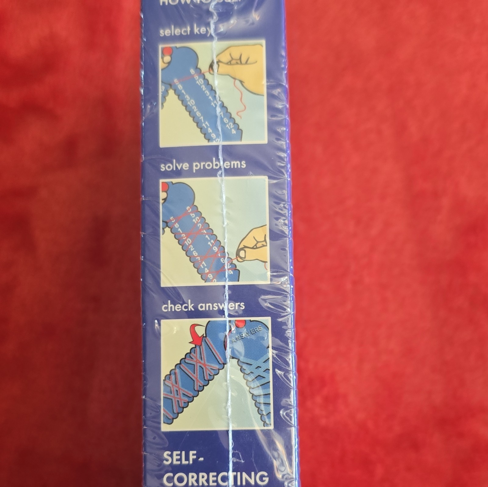 States & Capitals Learning Wrap-Ups Boxed Kit with All About America Map