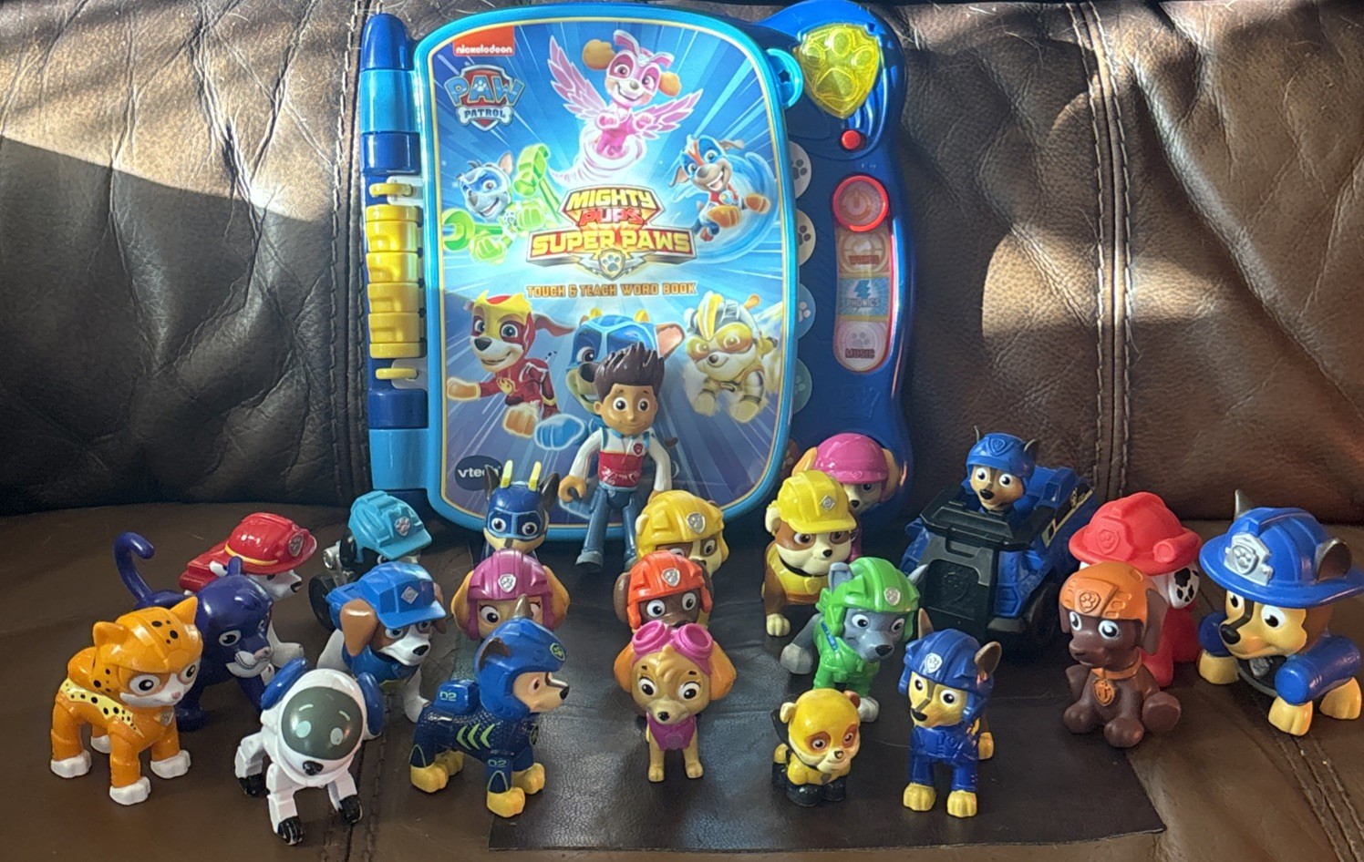 Paw Patrol 22 Figures + Mighty Pups Super Paws Touch & Teach Word Book Lot