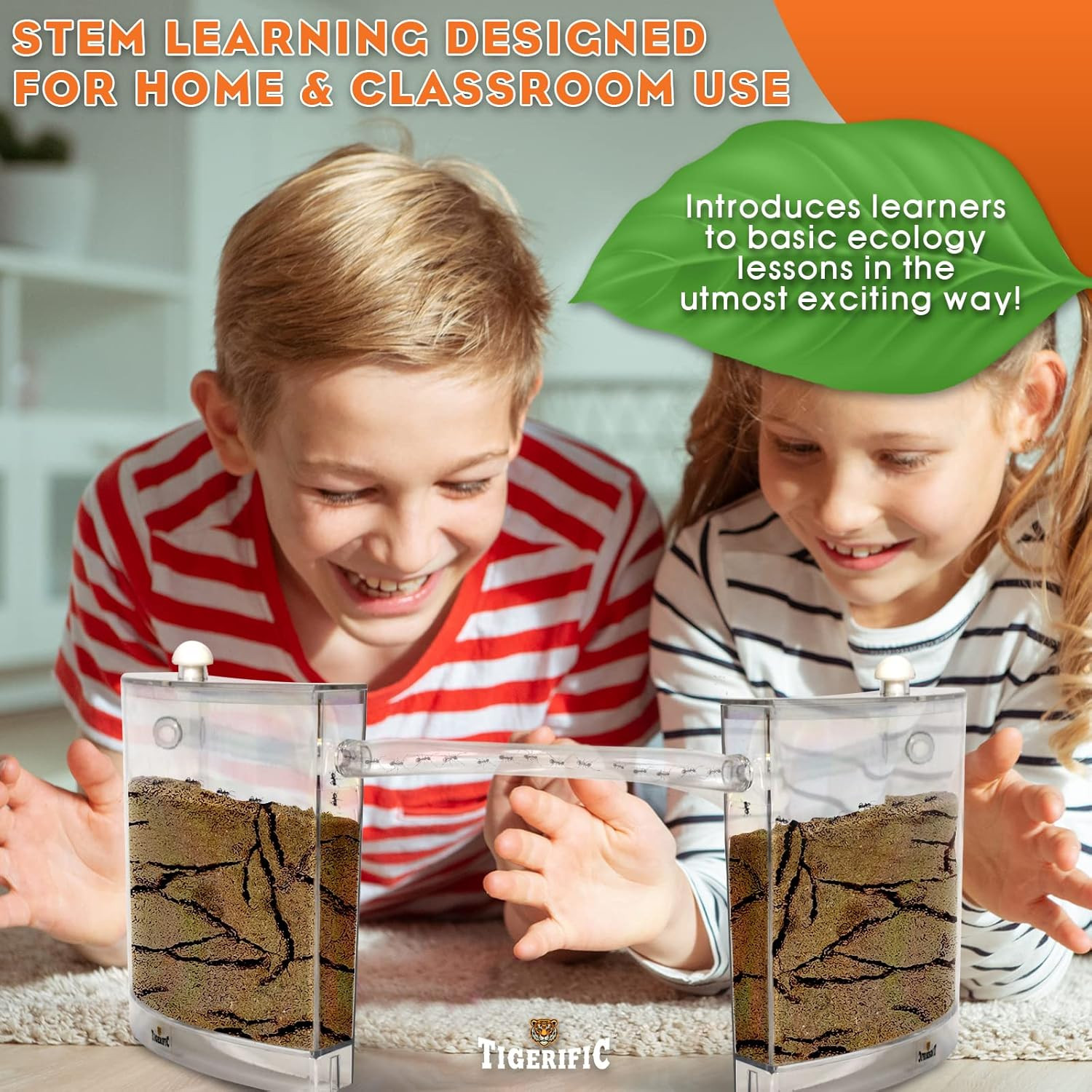 Ant Farm for Live Ants – Real Sand Ant Colony Kit for Kids -Fun Science Habitat