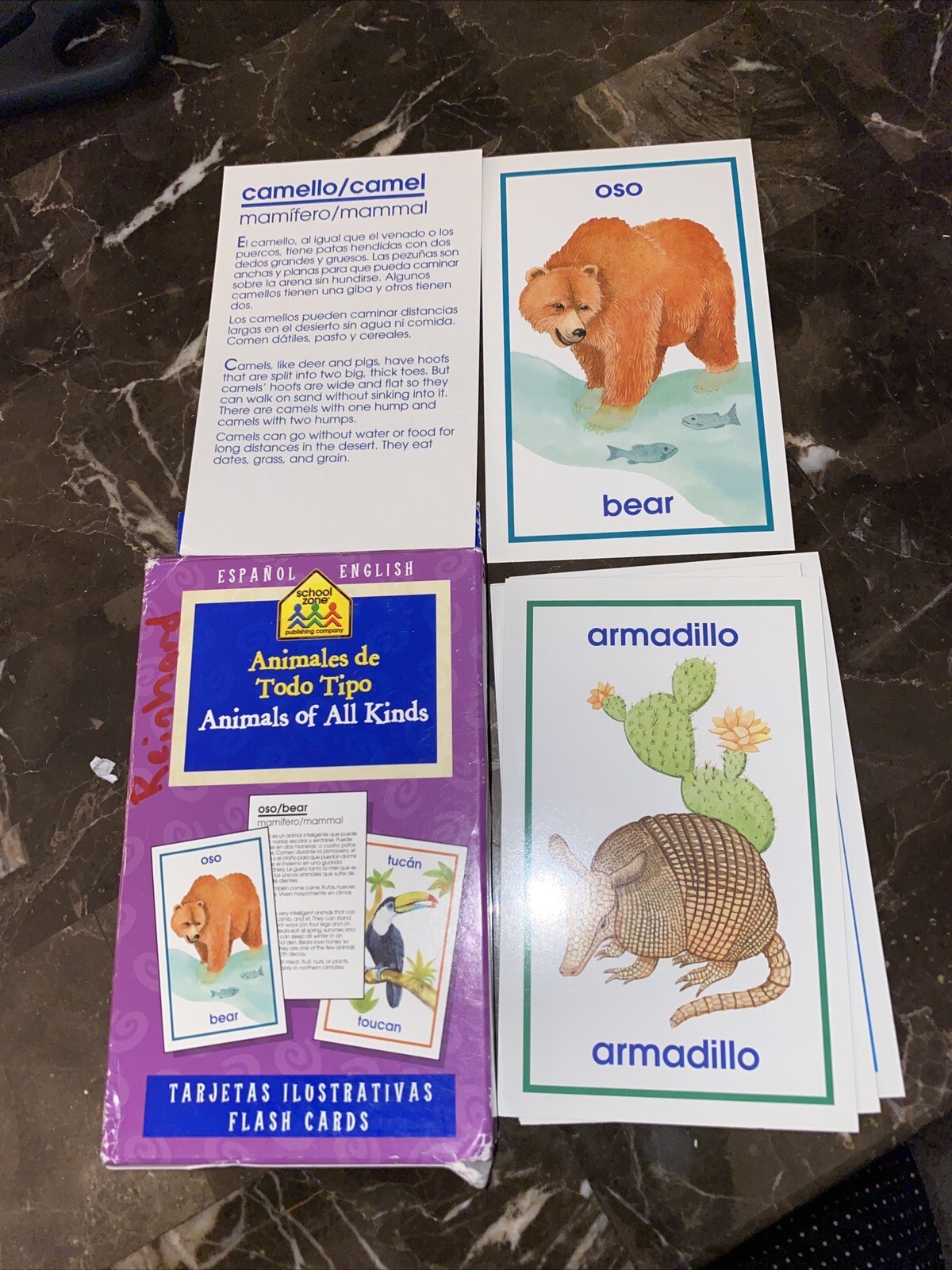 52 Flash Cards Animals Of All Kinds With Spanish Translation