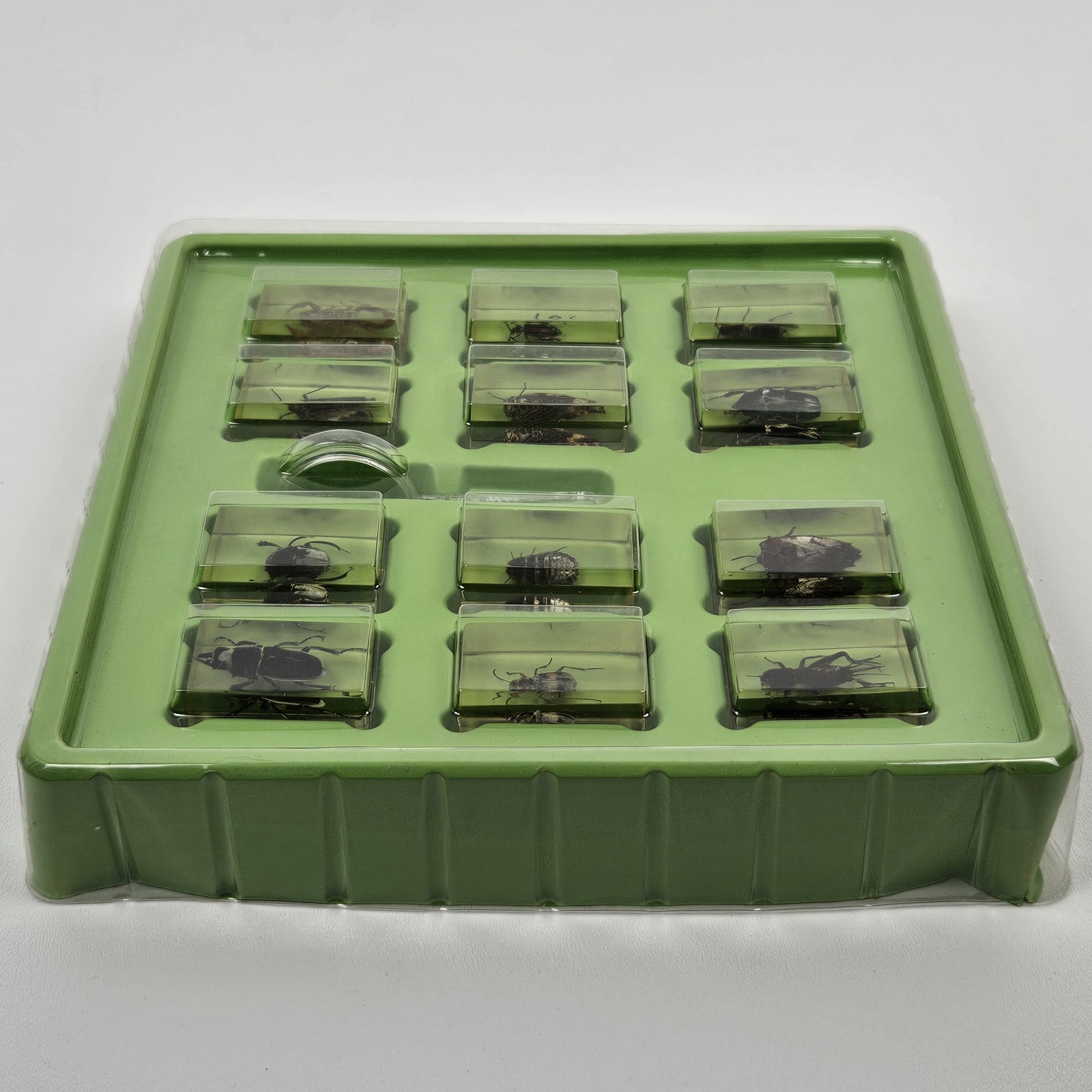 Edu Science REAL BUGS in Resin Insect Display 12-Pack Original Box, Toys “R” Us