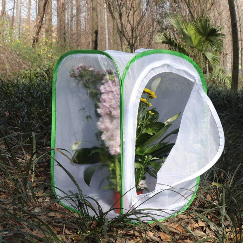 RESTCLOUD Insect and Butterfly Habitat Cage Terrarium Pop-Up 24 Inches Tall with
