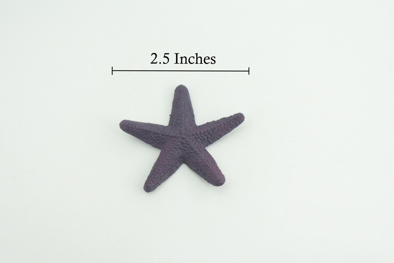 Toy Starfish, Purple, Sea Star, Realistic, Model, Gift, 2 1/2 Inches CWG49 B197