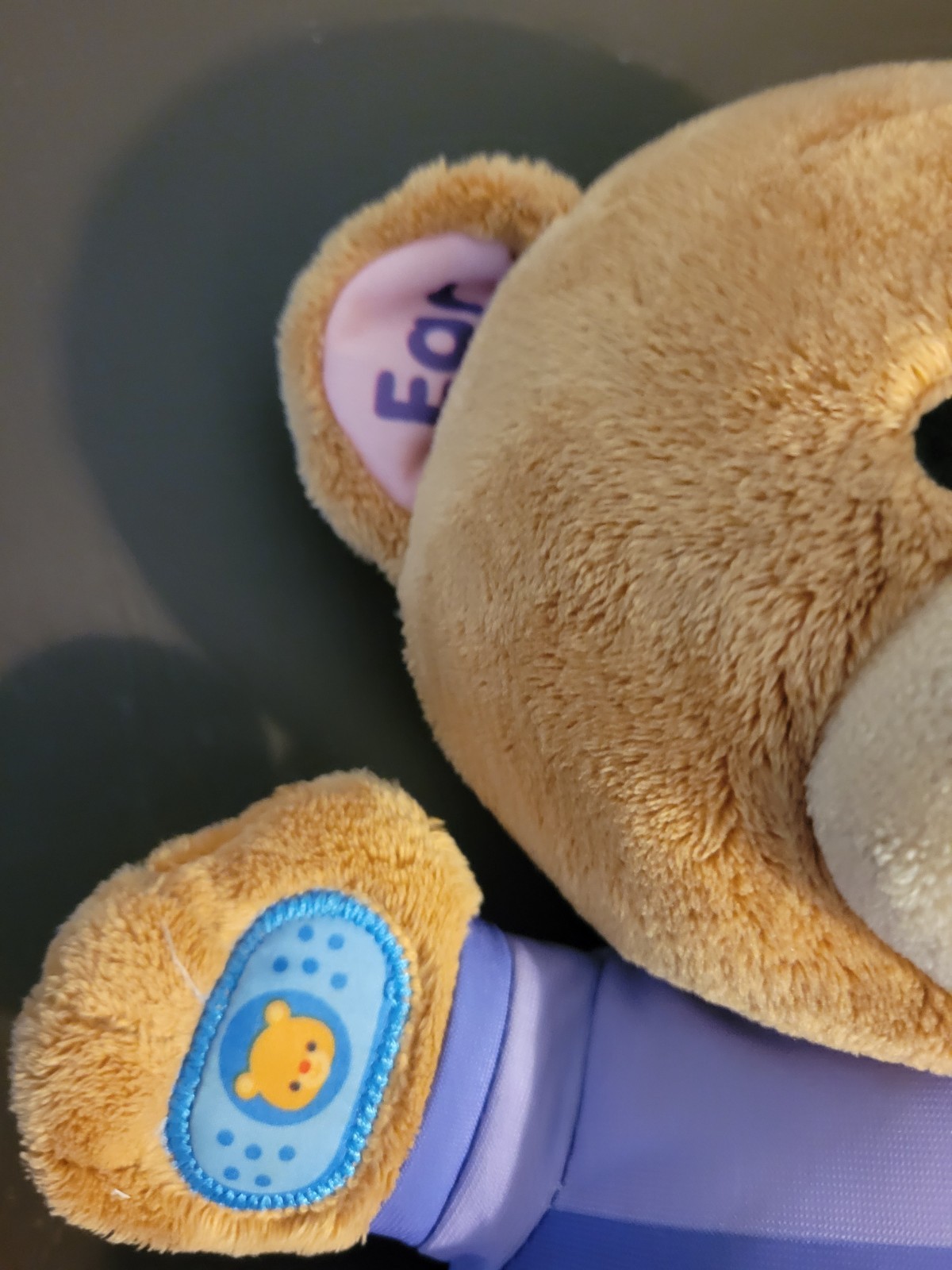 VTech Care and Learn Teddy Bear Interactive Plush Discontinued Sings Talks