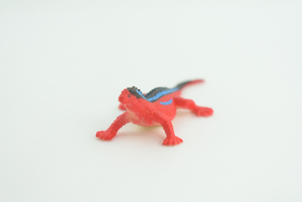 Red Head Agama Toy, Rainbow Lizard, Realistic Hand Painted Rubber, 2.5″ WR41B197